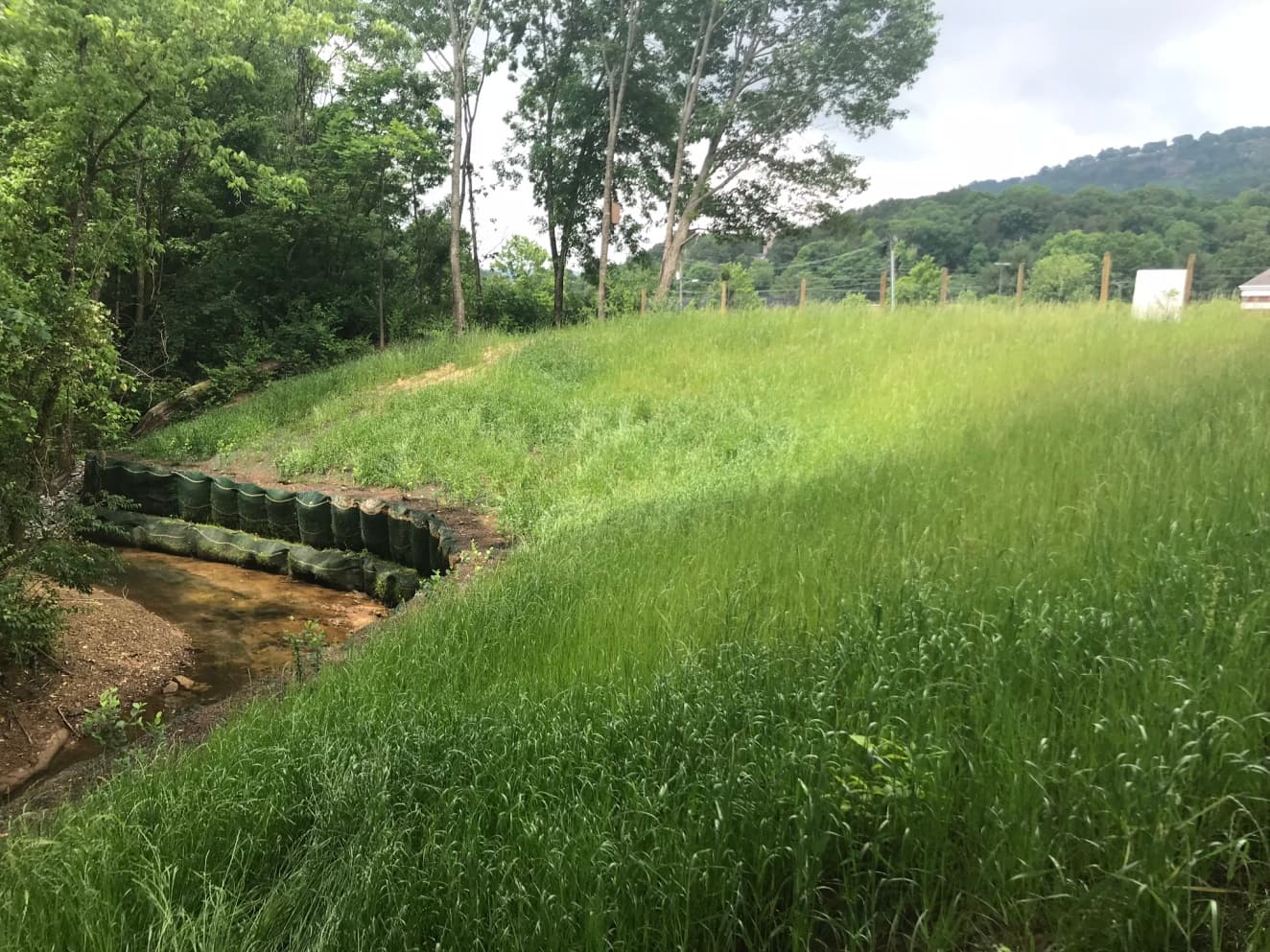 Since the completion of the project, the stream has naturally restored itself to its original channel depth.