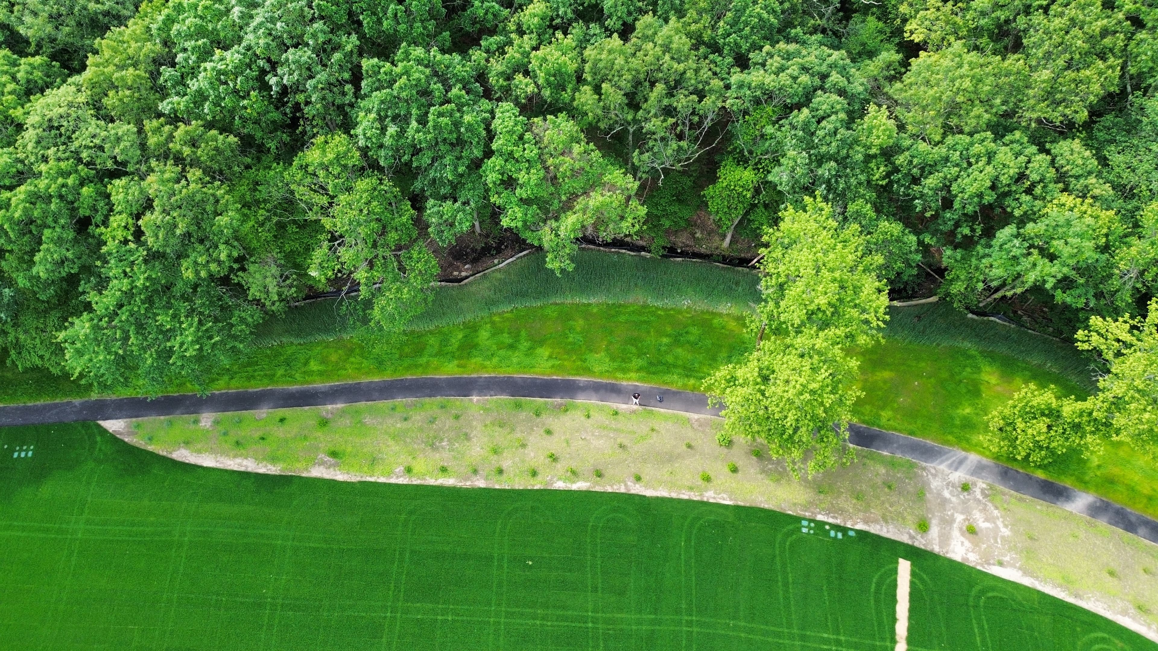 Integrating geotextile reinforcement and erosion control at Claxton Field