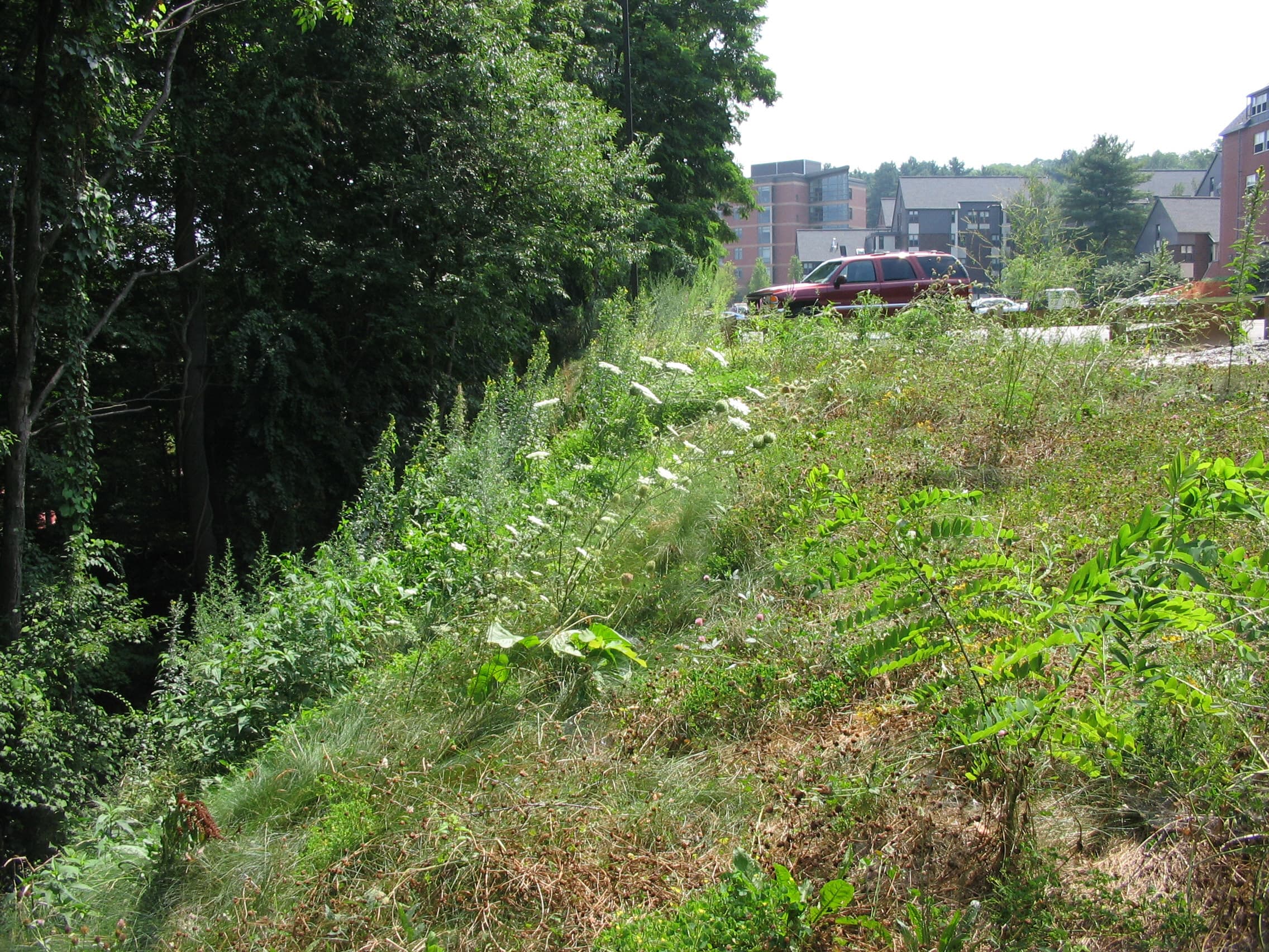 MIRAFI RS380i provided separation, filtration, and reinforcement before the aggregate and turf layers were placed.
