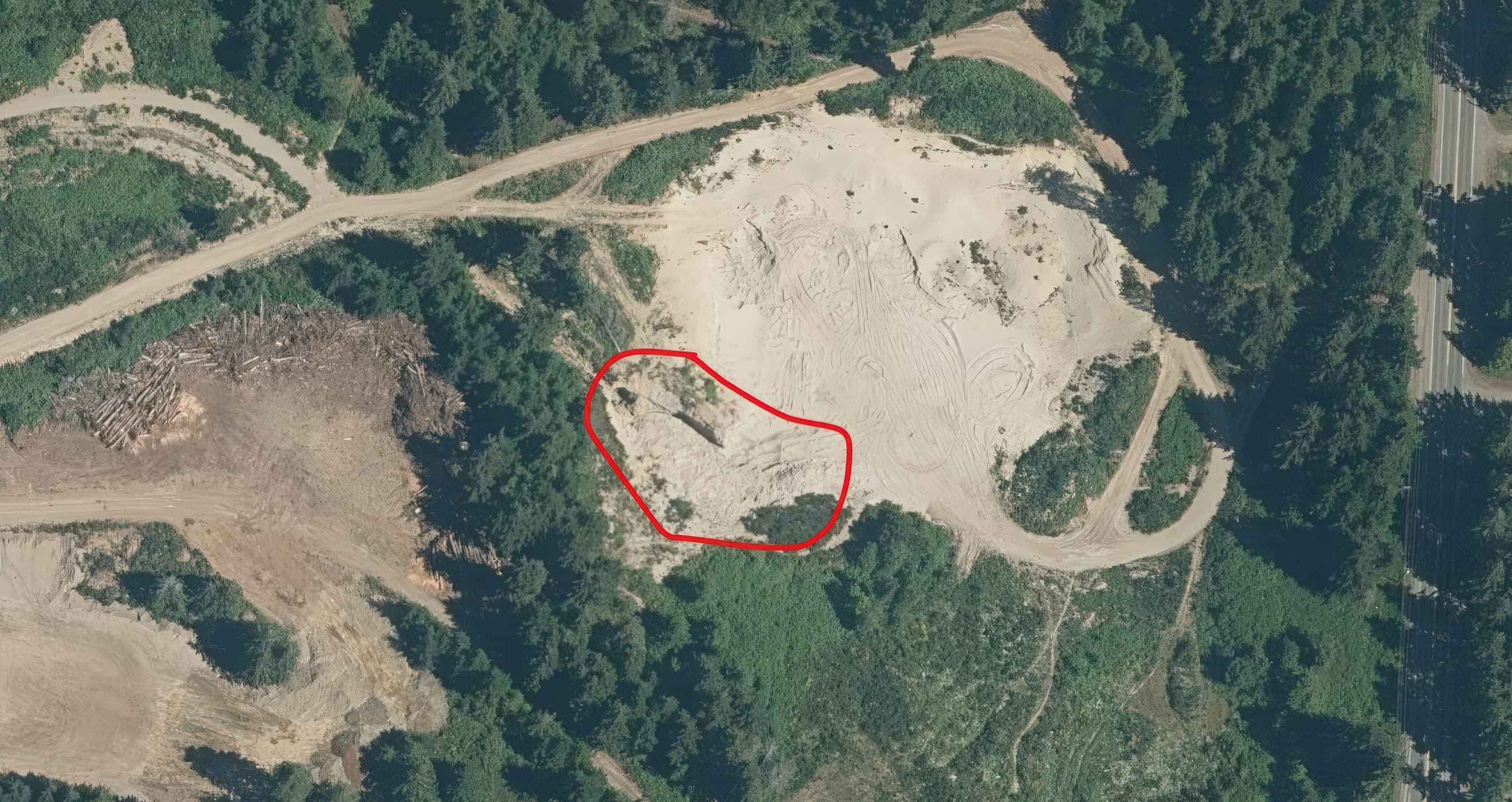 An aerial view of Anderton Pond showing vegetation growth in 2022.